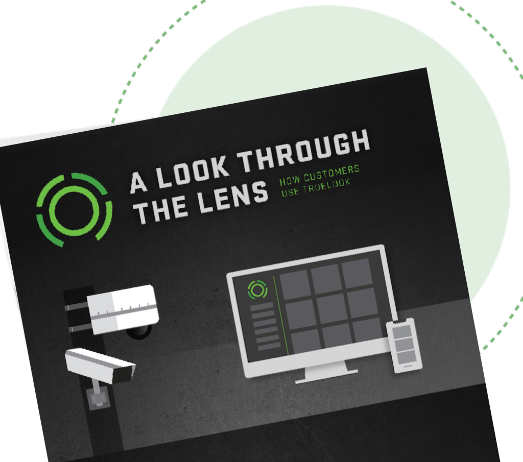 TrueLook By The Numbers Infographic