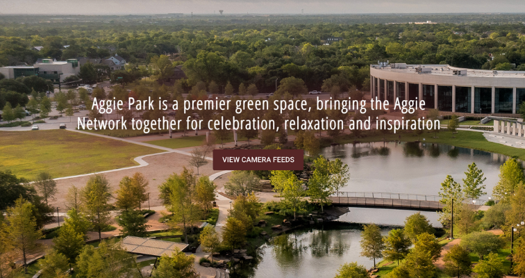Website homepage of Aggie Park with a button that says "view camera feeds" so that users can view the park from a TrueLook Camera
