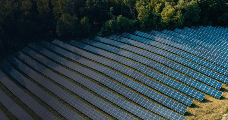 Rows of solar panels at a solar farm